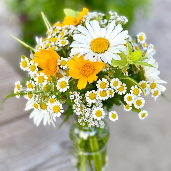 Meet your Posher, Tonya - Picture 3 of 11